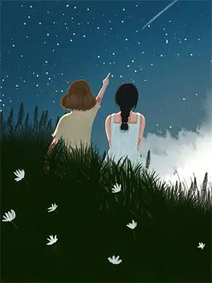 蝴蝶栖歇数圆缺小说全文在线阅读