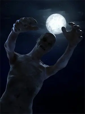 蝴蝶栖歇数圆缺小说免费阅读